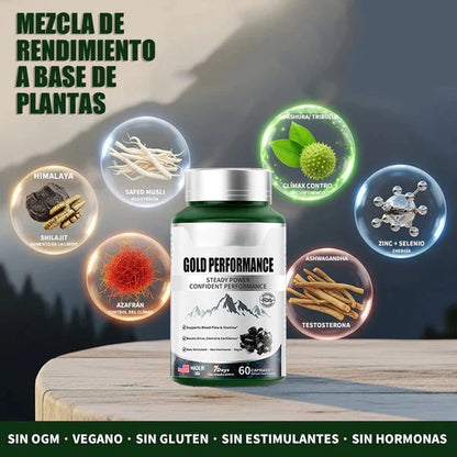 Adaptógenos para la energía, la resistencia y el sistema inmunitario - Antioxidantes-ZDQ8