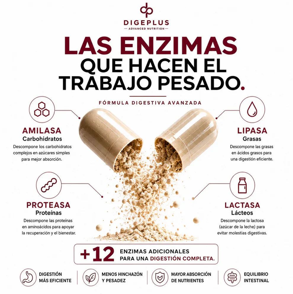 DigePlus® Enzimas Digestivas
