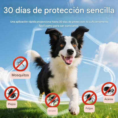 Gotas RZXEA™ para la protección contra pulgas y garrapatas durante 30 días