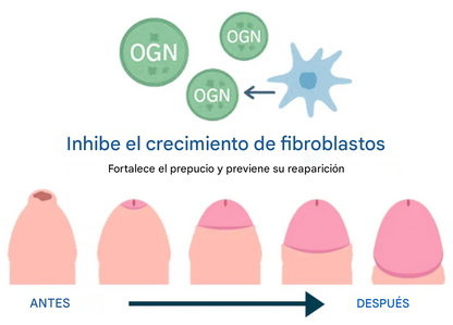 Gel Corrector de Prepucio Redundante,⚡Resultados visibles en tan solo 24 horas