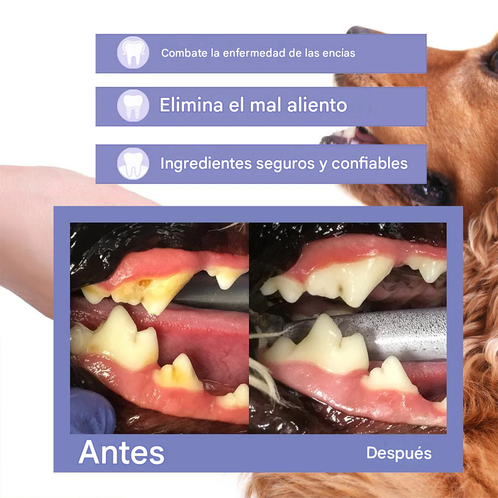 Spray limpiador dental para mascotas Natripaw