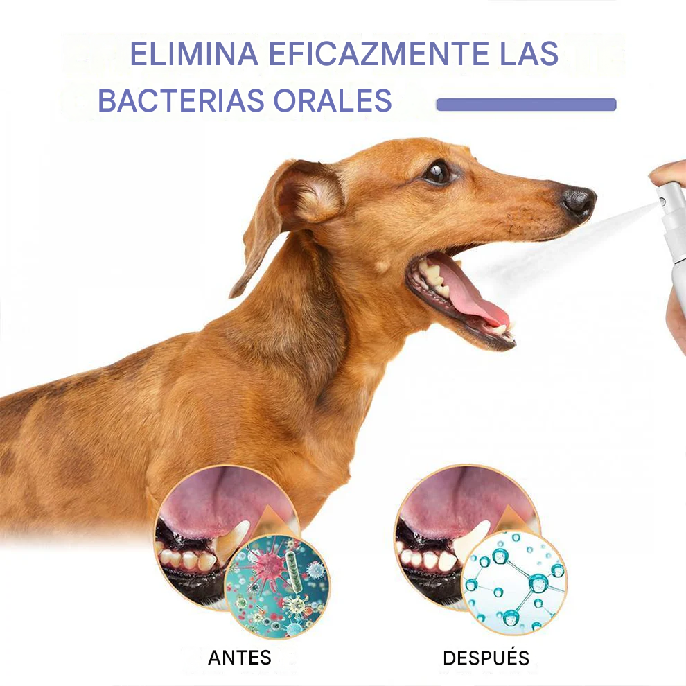 Spray limpiador dental para mascotas Natripaw