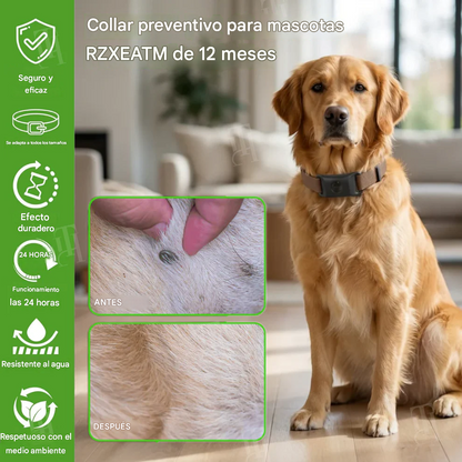 Collar de prevención natural de 12 meses 🌿
