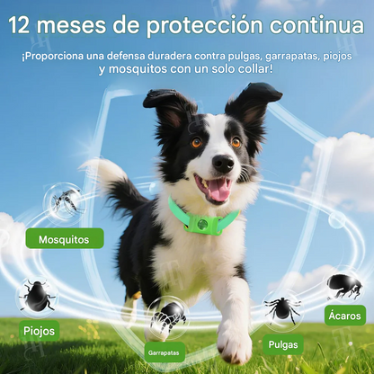 Collar de prevención natural de 12 meses 🌿
