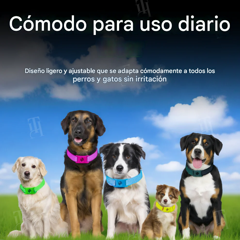 Collar de prevención natural de 12 meses 🌿