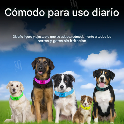 Collar de prevención natural de 12 meses 🌿