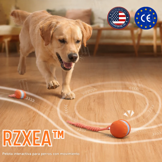 Pelota interactiva inteligente para perros⚡TPU duradero y autoenrollable