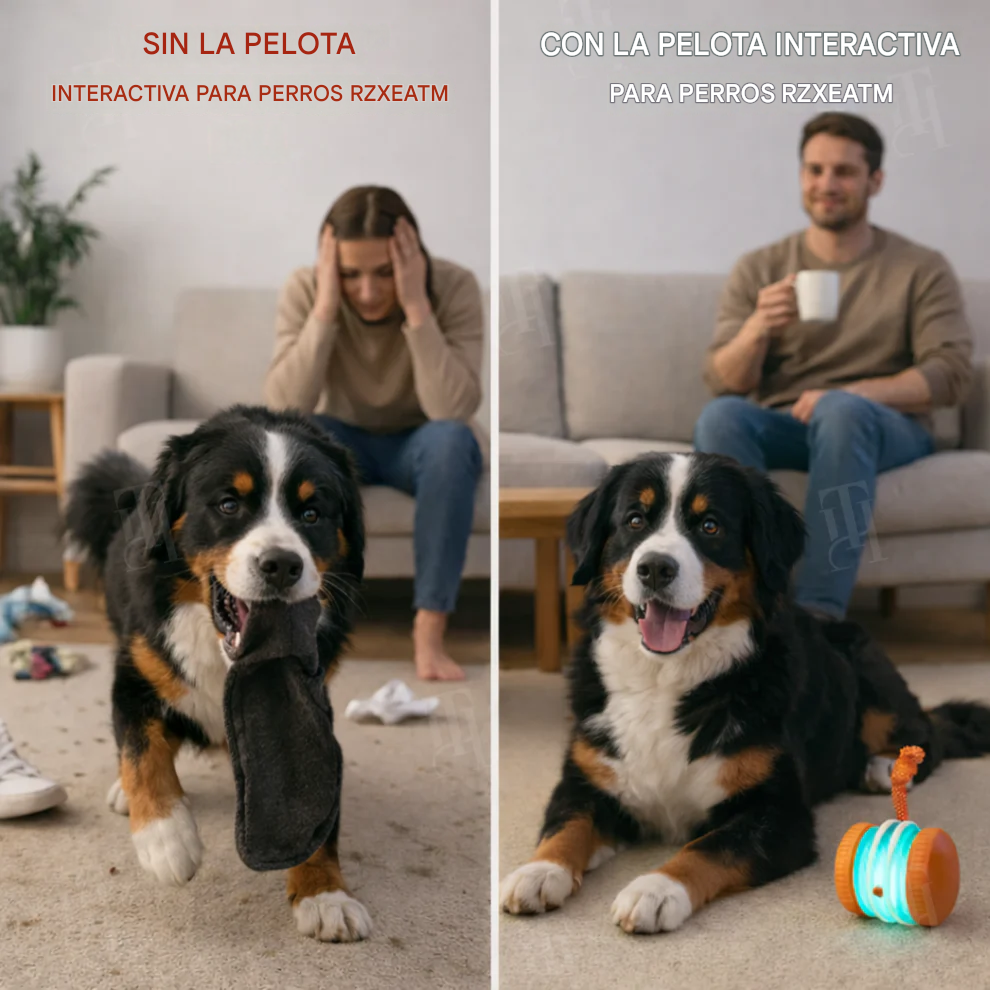 Pelota interactiva inteligente para perros⚡TPU duradero y autoenrollable