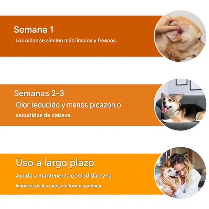 Gotas herbales EarEase (70 % de eficacia en 10 minutos)