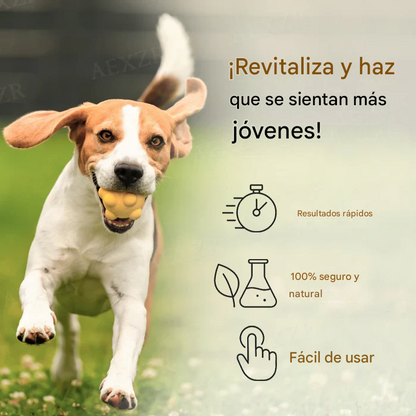 Gotas para la regeneración articular