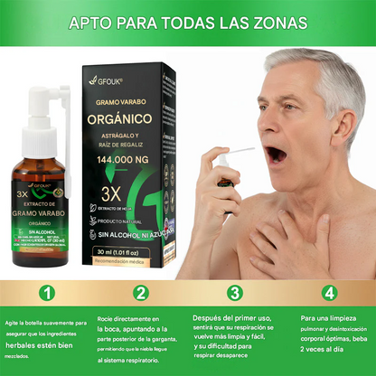 GFOUK®3X Spray concentrado de limpieza pulmonar con gordolobo
