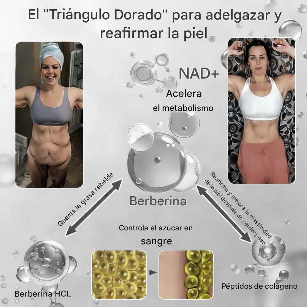 𝗠𝗼𝗿𝗶𝗻𝗴𝗮 & 𝗕𝗲𝗿𝗯𝗲𝗿𝗶𝗻𝗲 𝟭𝟬-𝗜𝗡-𝟭 Parche Nano Avanzado De Bienestar De Microagujas🩹