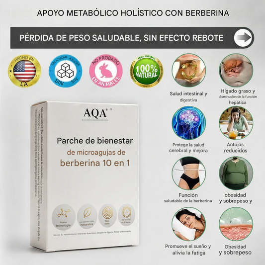𝗠𝗼𝗿𝗶𝗻𝗴𝗮 & 𝗕𝗲𝗿𝗯𝗲𝗿𝗶𝗻𝗲 𝟭𝟬-𝗜𝗡-𝟭 Parche Nano Avanzado De Bienestar De Microagujas🩹