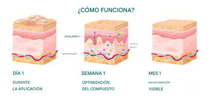 Ampollas de péptidos Calm Snake para herpes zóster