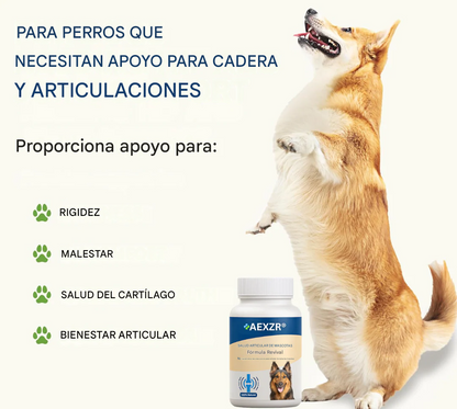 Fórmula revitalizante para la salud articular de mascotas 🦴 para el dolor y la rigidez articular en perros y gatos 🐾