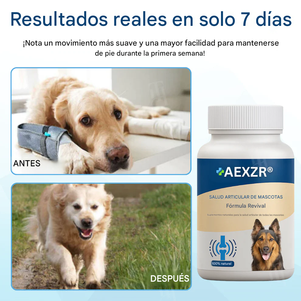Fórmula revitalizante para la salud articular de mascotas 🦴 para el dolor y la rigidez articular en perros y gatos 🐾