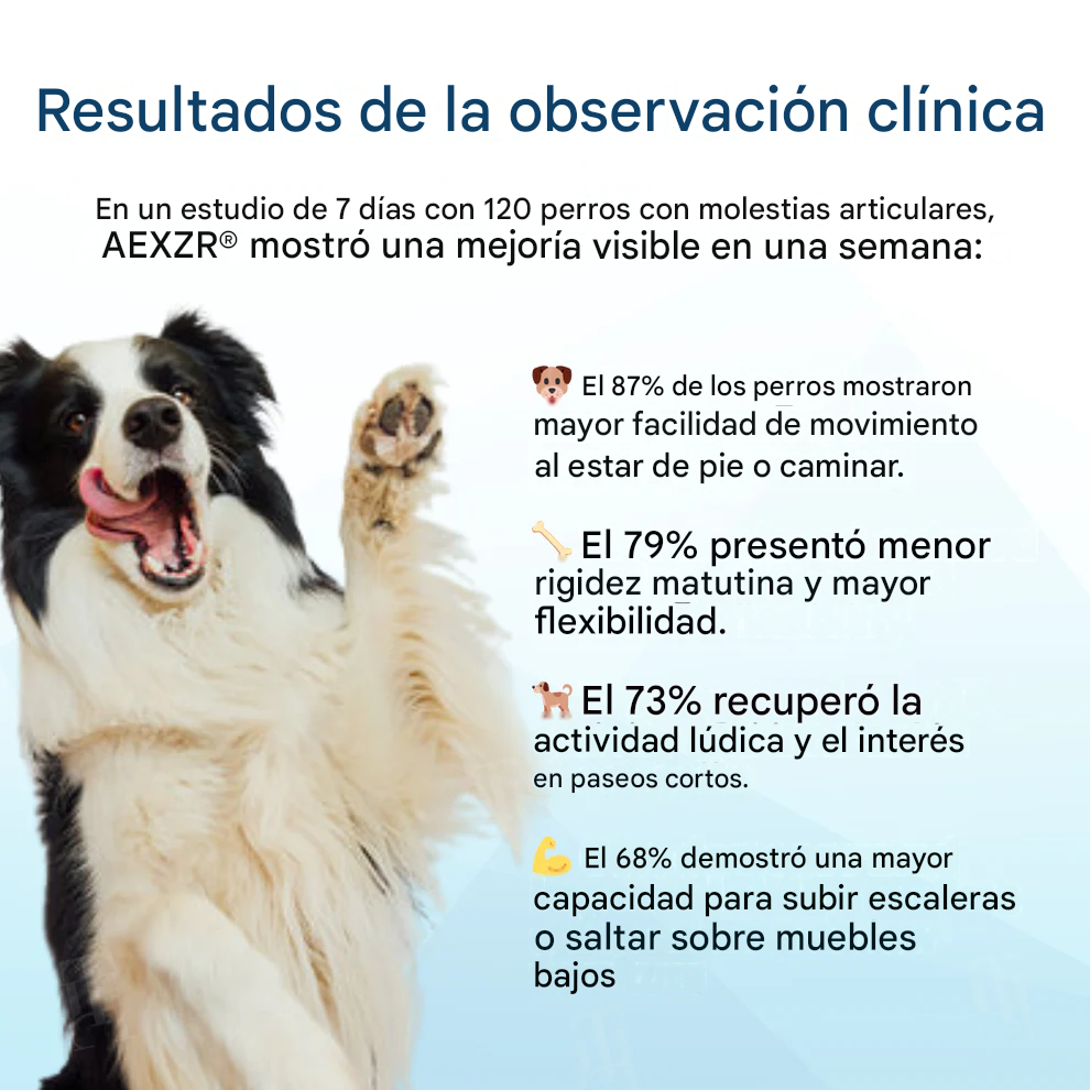 Fórmula revitalizante para la salud articular de mascotas 🦴 para el dolor y la rigidez articular en perros y gatos 🐾