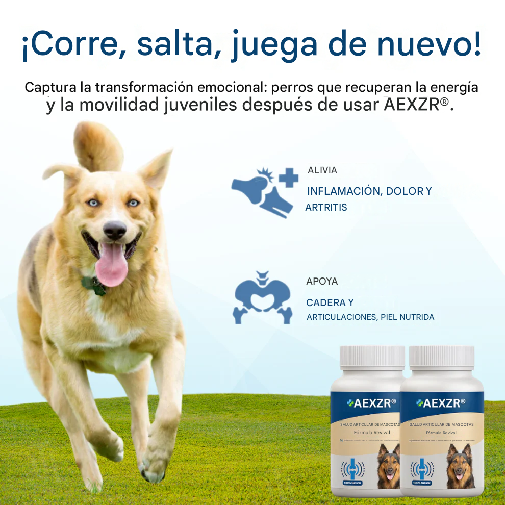 Fórmula revitalizante para la salud articular de mascotas 🦴 para el dolor y la rigidez articular en perros y gatos 🐾