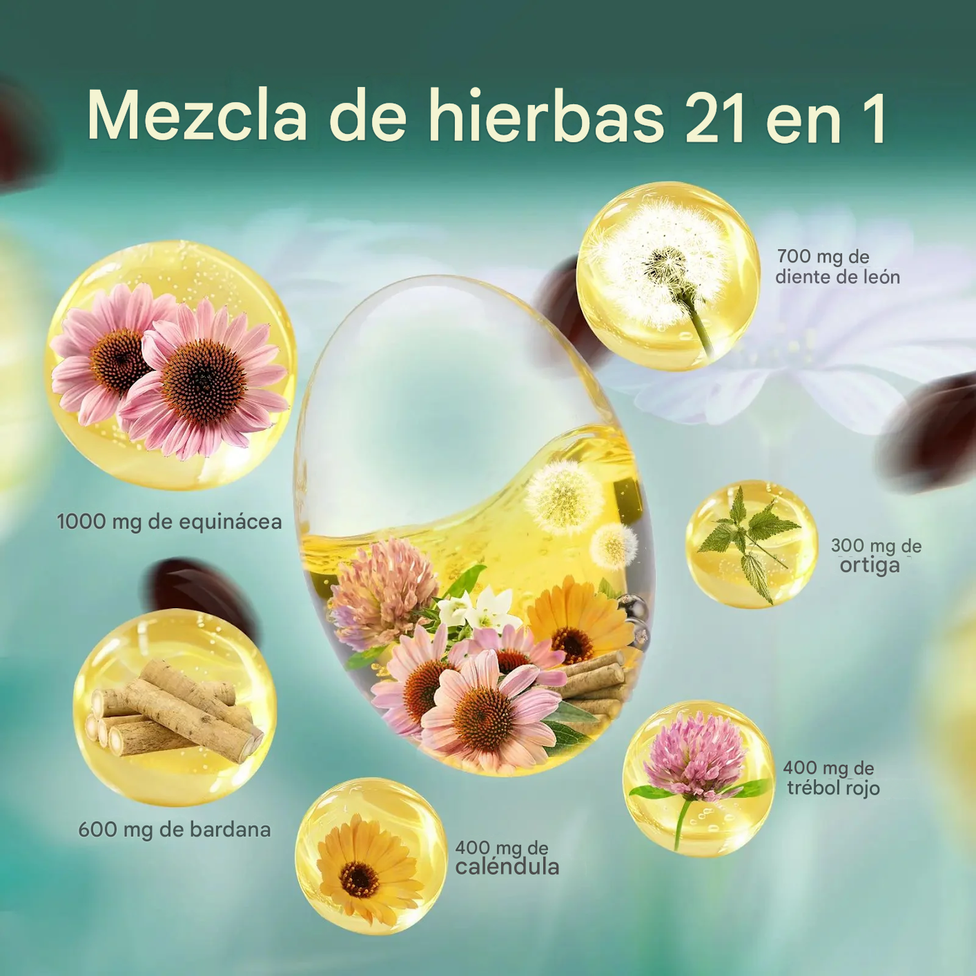 Favorece la circulación linfática, desintoxica y reduce la hinchazón