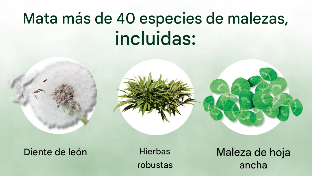 AEXZR® Herbicida 2 en 1 Máxima Potencia