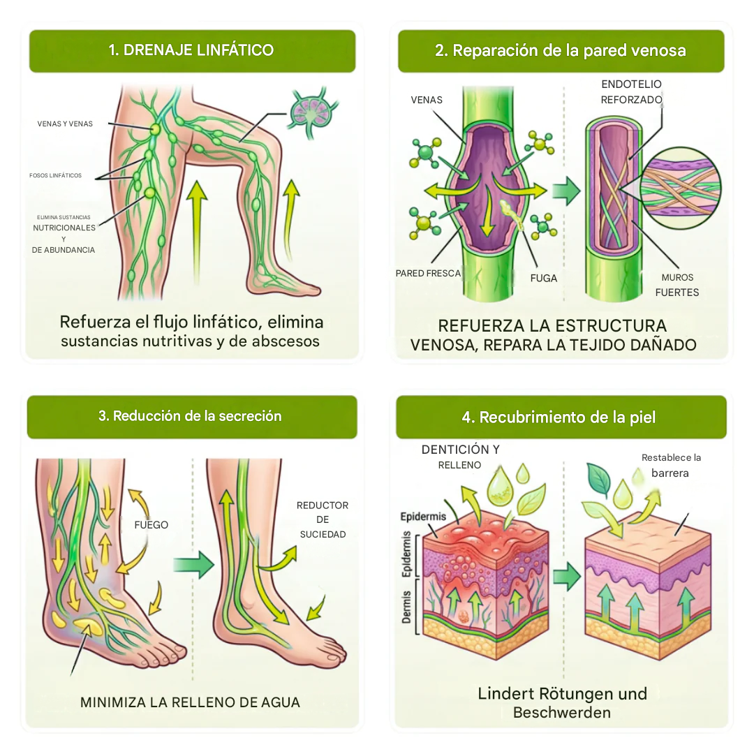 Crema de drenaje linfático y reparación de venas de última generación