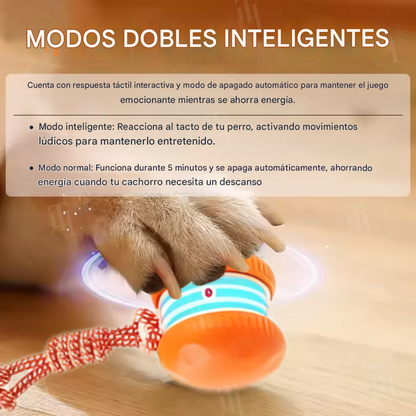 Pelota interactiva inteligente para perros⚡TPU duradero y autoenrollable