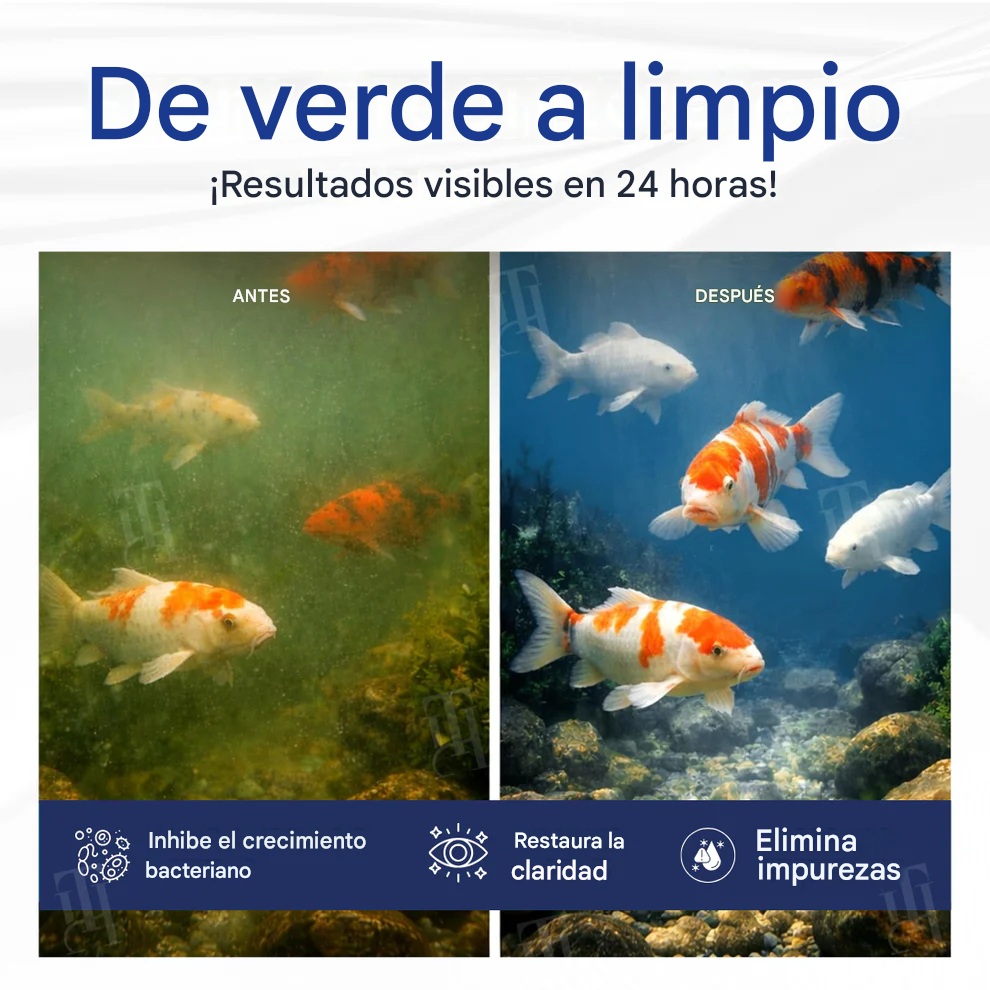 🌊 Solo vierte y listo | Bio-Engine de máxima transparencia de 24 horas
