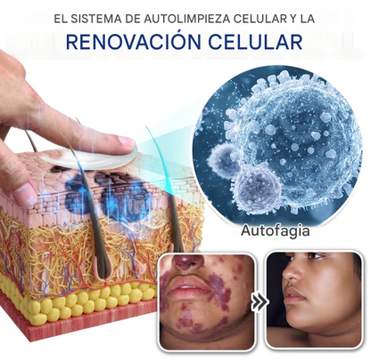 Crema integral con espermidina para la autofagia