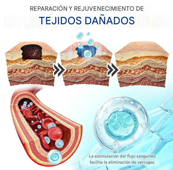 Crema integral con espermidina para la autofagia