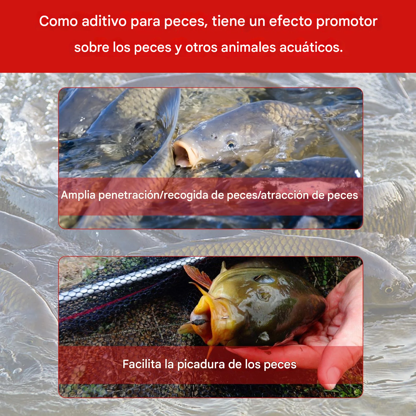 Cebo líquido para lombrices rojas