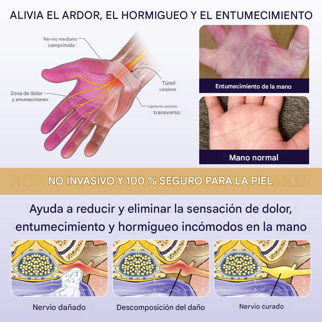 Cápsulas de soporte nervioso ATTDX® MagNeuro