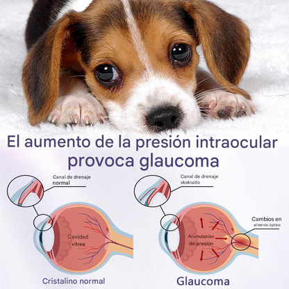 Gotas oftálmicas Timilk® NanoCare para mascotas 👩‍⚕️ Aprobadas por la FDA
