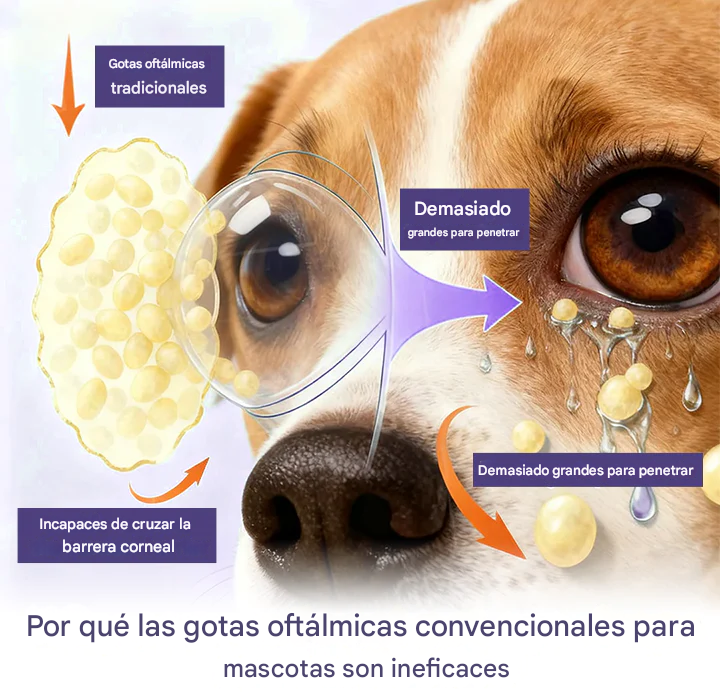 Gotas oftálmicas Timilk® NanoCare para mascotas 👩‍⚕️ Aprobadas por la FDA