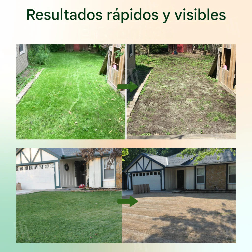 Solución Vita-Enzimática 2 en 1 – Revitaliza plantas moribundas y promueve su crecimiento | Fórmula profesional 2 en 1 🏆🌱