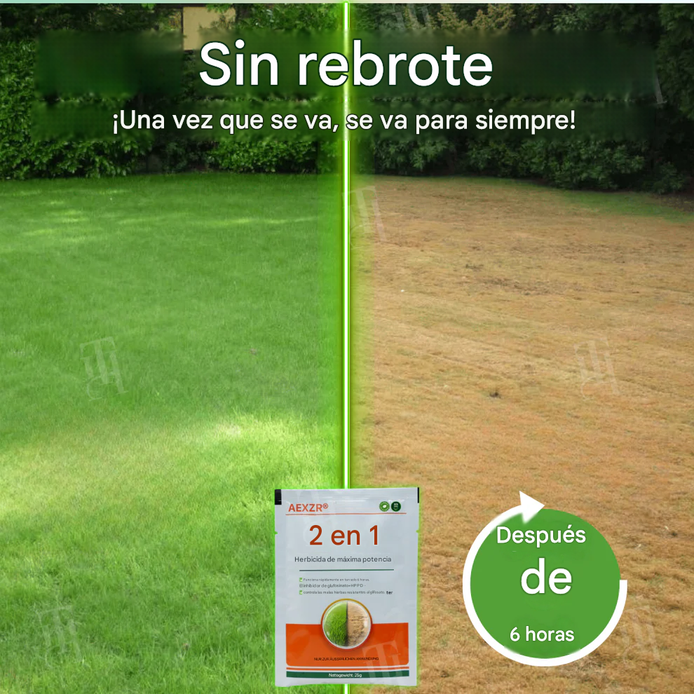 Solución Vita-Enzimática 2 en 1 – Revitaliza plantas moribundas y promueve su crecimiento | Fórmula profesional 2 en 1 🏆🌱