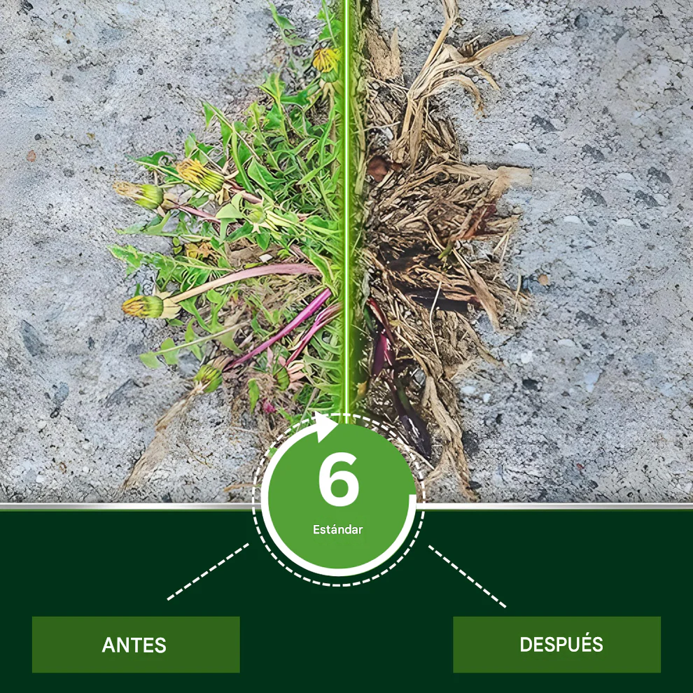 Solución Vita-Enzimática 2 en 1 – Revitaliza plantas moribundas y promueve su crecimiento | Fórmula profesional 2 en 1 🏆🌱