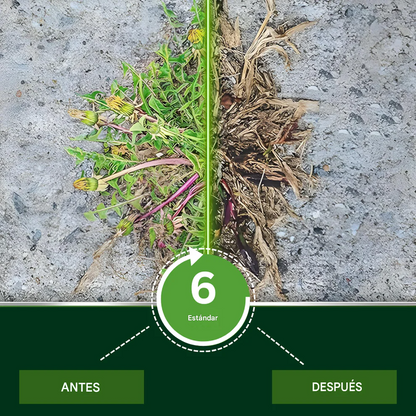 Solución Vita-Enzimática 2 en 1 – Revitaliza plantas moribundas y promueve su crecimiento | Fórmula profesional 2 en 1 🏆🌱