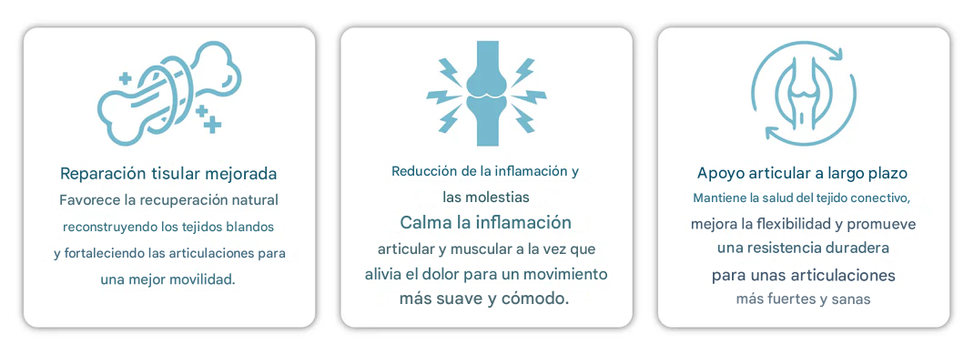 Cápsulas ATTDX® BPC-157 ArthroFlex Motion+