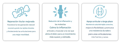 Cápsulas ATTDX® BPC-157 ArthroFlex Motion+