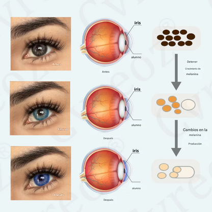 Gotas Fivfivgo® EyeCandy