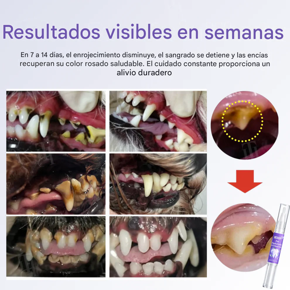 Gel reparador de ácido hialurónico para mascotas