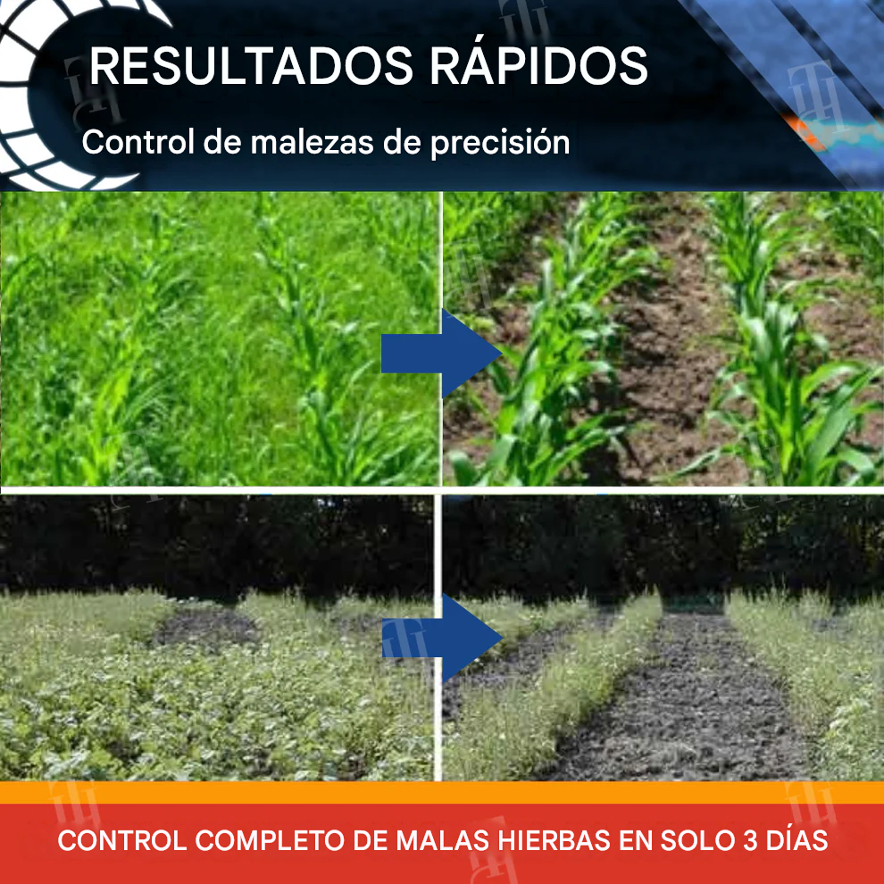 Herbicida para cereales - Halauxifen-methyl