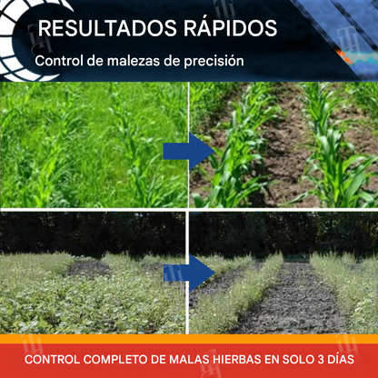 Herbicida para cereales - Halauxifen-methyl