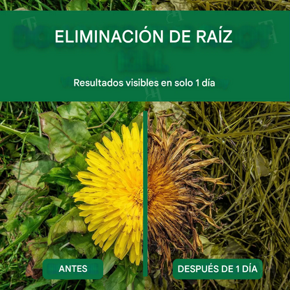 🐾 100% seguro para mascotas y niños | Herbicida AEXZR® 3 en 1 de máxima potencia