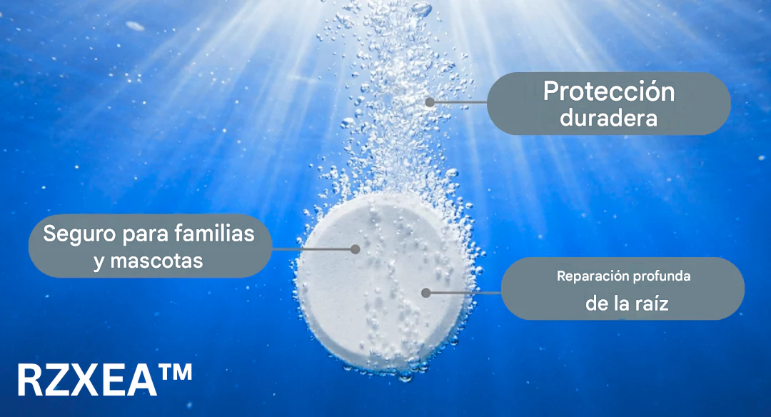 🌊 Piscina cristalina en 24 horas | Pool CrystalShield Pro