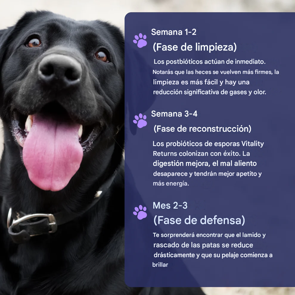 Serie Pet Pro-Gut