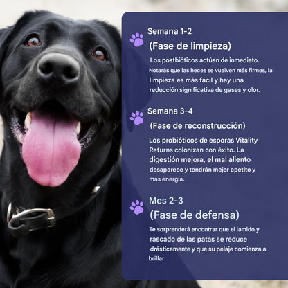 Serie Pet Pro-Gut